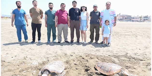 CARETTA ile ilgili açıklaması: