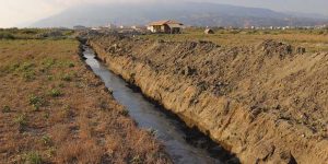 Hatay Büyükşehir’den milleyha müdahalesi