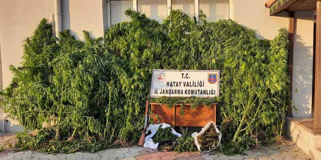 Hatay Emniyeti Narkotik Polisi,