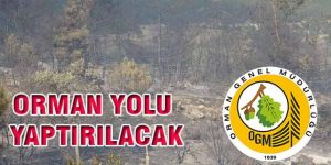 Orman Yolu Yaptırılacak