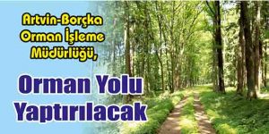 Orman Yolu Yaptırılacak