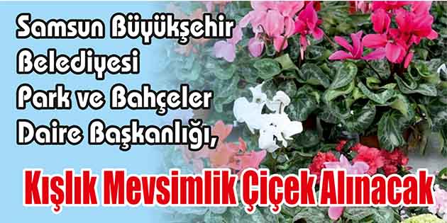 Samsun Büyükşehir Belediyesi Park ve Bahçeler Daire Başkanlığı, kışlık mevsimlik