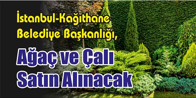 Ağaç ve Çalı Satın Alınacak İstanbul-Kağıthane Belediye Başkanlığı, ağaç ve çalı satın alacak. Edinilen bilgilere