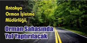 Orman Sahasında Yol Yaptırılacak