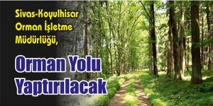 Orman Yolu Yaptırılacak