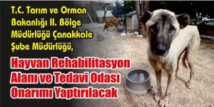 Hayvan Rehabilitasyon Alanı ve Tedavi Odası Onarımı Yaptırılacak