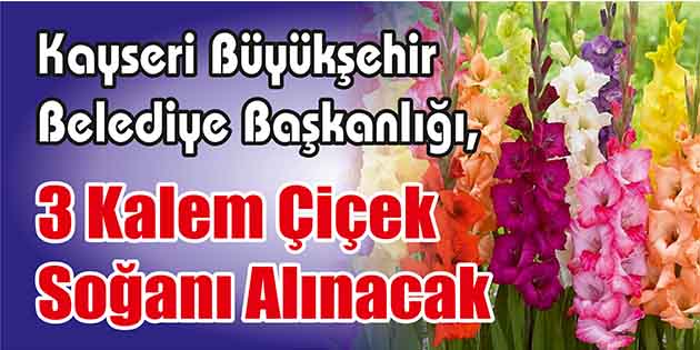 Kayseri Büyükşehir Belediye Başkanlığı, 3 kalem çiçek soğanı alacak. Edinilen