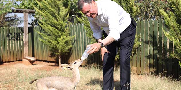 Savaş, yaşam alanlarının taş ocaklarıyla iyice küçültüldüğünü söyledi. Hatay Büyükşehir