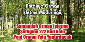 Samandağ Orman İşletme Şefliğine 272 Kod Nolu Yeni Orman Yolu Yaptırılacak