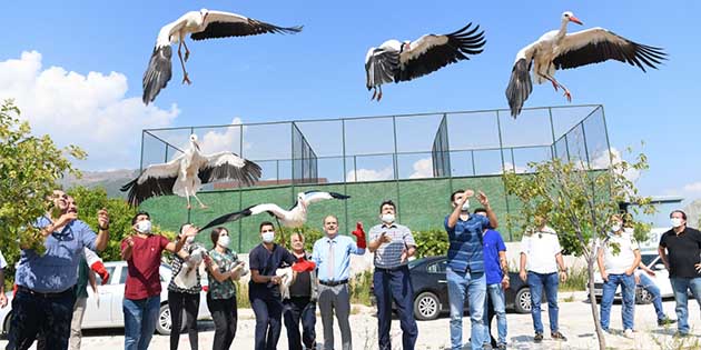 Hatay Mustafa Kemal Üniversitesi