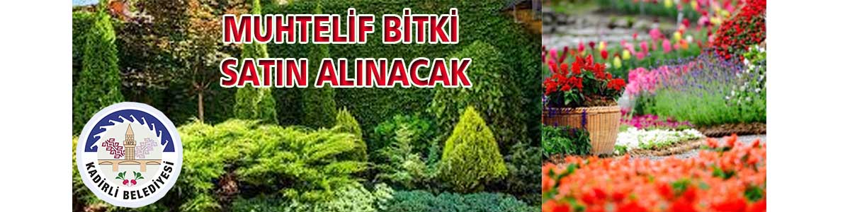 Muhtelif Bitki Satın Alınacak Kadirli Belediyesi Park ve Bahçeler Müdürlüğü, muhtelif bitki satın