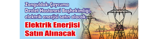 Elektrik Enerjisi Satın Alınacak