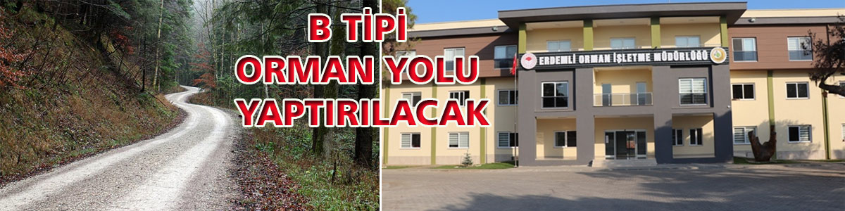 &nbsp;&nbsp;&nbsp;&nbsp;&nbsp; Mersin-Erdemli Orman İşletme Müdürlüğü, B tipi orman yolu yaptıracak.