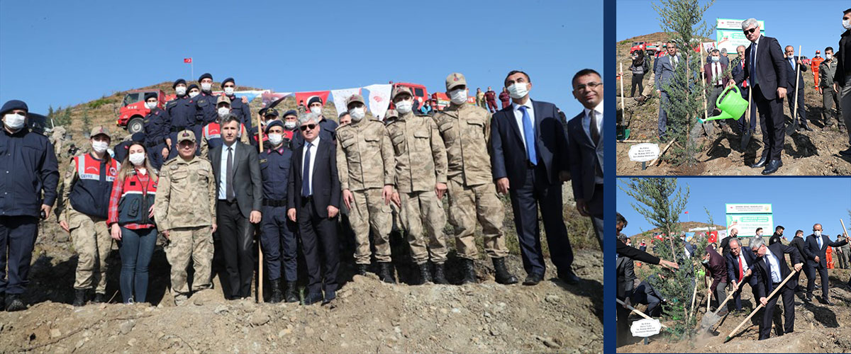 Hatay’da geçen yıl 5000