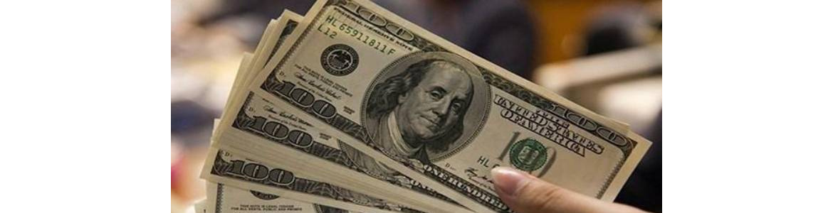 Dolar; 2021’de % 61