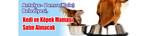 Kedi ve Köpek Maması Satın Alınacak