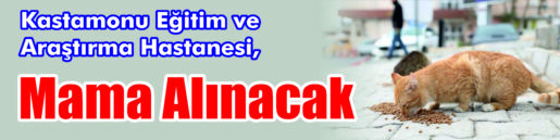 Mama Alınacak