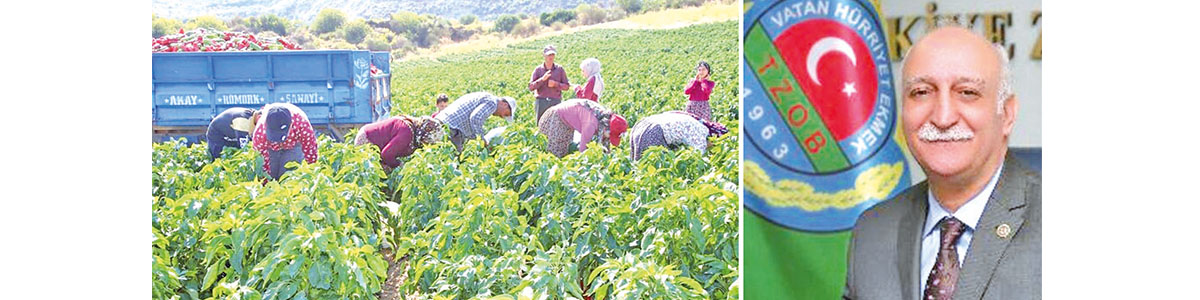 Türkiye Ziraat Odaları Birliği