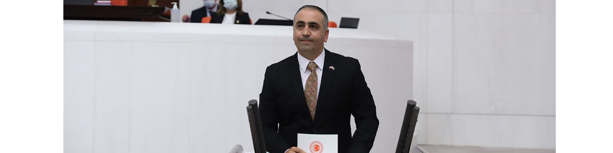 Milliyetçi Hareket Partisi (MHP)