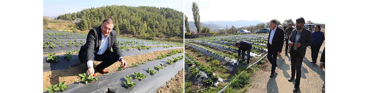 Başkan Savaş, kırsal kalkınma