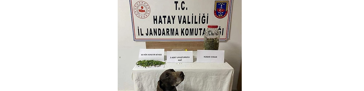 Evde Yapılan Aramada Uyuşturucu