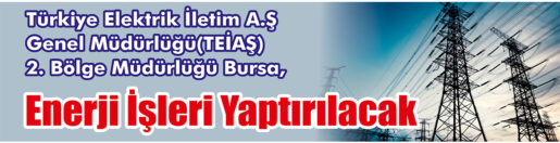 &nbsp;&nbsp;&nbsp;&nbsp;&nbsp; Türkiye Elektrik İletim A.Ş Genel Müdürlüğü(TEİAŞ) 2. Bölge Müdürlüğü