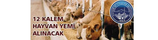 &nbsp; Kayseri Büyükşehir Belediyesi Destek Hizmetleri Daire Başkanlığı, 12 kalem