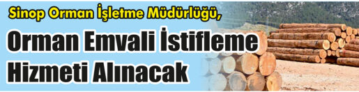 &nbsp;&nbsp;&nbsp;&nbsp;&nbsp; Sinop Orman İşletme Müdürlüğü, orman emvali istifleme hizmeti alacak.