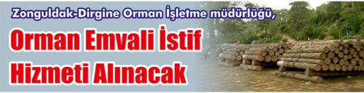 &nbsp;&nbsp;&nbsp;&nbsp;&nbsp; Zonguldak-Dirgine Orman İşletme müdürlüğü, orman emvali istif hizmeti alacak.