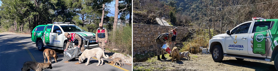       Hatay İl Jandarma Komutanlığı ekipleri, sokak hayvanları için belli