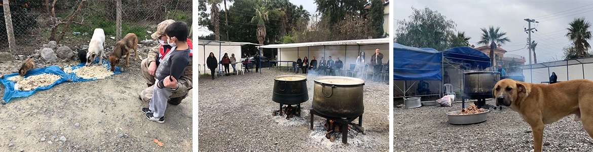 Arsuz’da sokak hayvanları unutulmadı 250 kg Kemikli ET ile 100