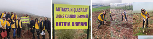 Lionslar Ağaç Dikti