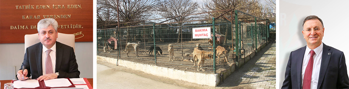 Büyükşehir ‘SORUN YOK’! Hatay