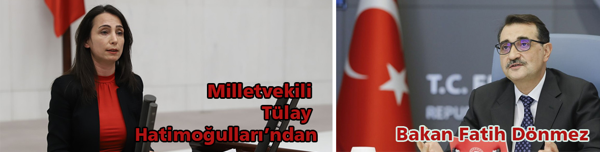 Zeytinlik alanların kesilerek Maden