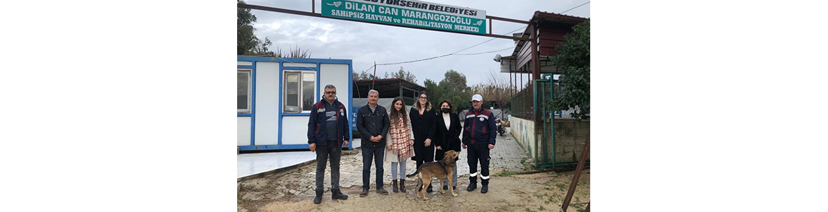 Hatay Barosu, hayvan barınağında