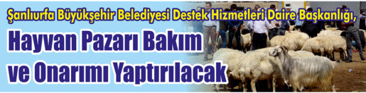 &nbsp;&nbsp;&nbsp;&nbsp;&nbsp; Şanlıurfa Büyükşehir Belediyesi Destek Hizmetleri Daire Başkanlığı, Hayvan pazarı