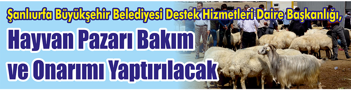 &nbsp;&nbsp;&nbsp;&nbsp;&nbsp; Şanlıurfa Büyükşehir Belediyesi Destek Hizmetleri Daire Başkanlığı, Hayvan pazarı