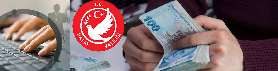 Danimarka Mülteci Konseyi, Hatay Valiliği ve Hatay Esnaf ve Sanatkarlar