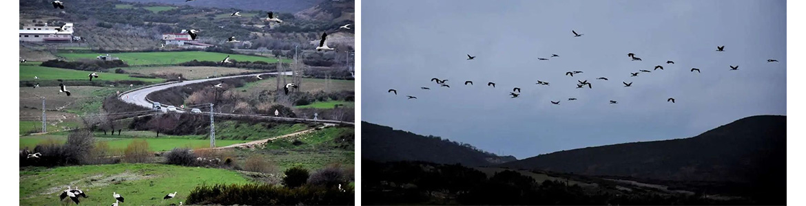 Göç yolunda, Hatay üzerinden