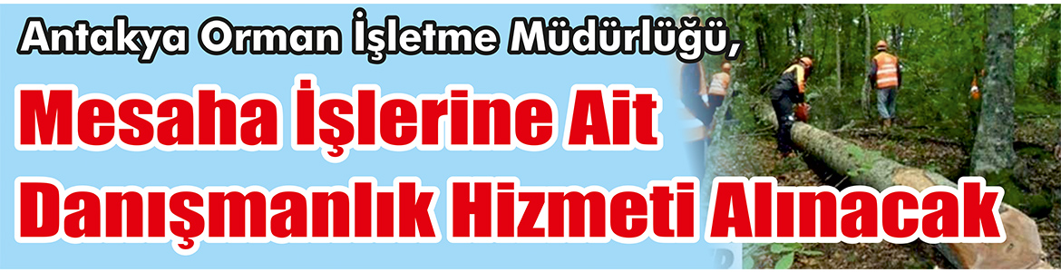 Danışmanlık Hizmeti Alınacak &nbsp;&nbsp;&nbsp;&nbsp;&nbsp; Antakya Orman İşletme Müdürlüğü, Mesaha işlerine
