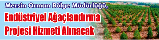 &nbsp;&nbsp;&nbsp;&nbsp;&nbsp; Mersin Orman Bölge Müdürlüğü, Endüstriyel ağaçlandırma projesi hizmeti alacak.