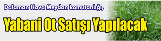 &nbsp;&nbsp;&nbsp;&nbsp;&nbsp; Dalaman Hava Meydan komutanlığı, Yabani ot satışı yapacak. &nbsp;&nbsp;&nbsp;&nbsp;&nbsp;