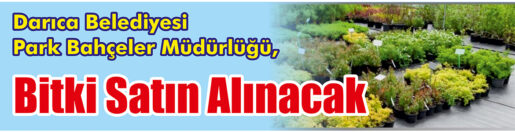 &nbsp;&nbsp;&nbsp;&nbsp;&nbsp; Darıca Belediyesi Park Bahçeler Müdürlüğü, Bitki satın alacak. &nbsp;&nbsp;&nbsp;&nbsp;&nbsp;