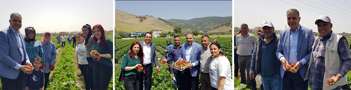 CHP’li Milletvekili, İlçe Başkanı, Kadın Kolları Başkanı ve Partililerden oluşan