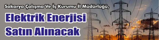 &nbsp;&nbsp;&nbsp;&nbsp;&nbsp; Sakarya Çalışma Ve İş Kurumu İl Müdürlüğü, Elektrik enerjisi