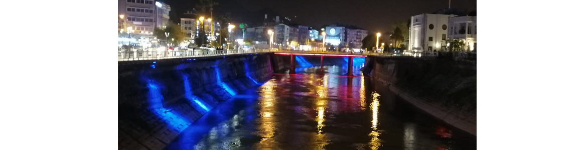 Türk Polis Teşkilatı, kuruluşunun