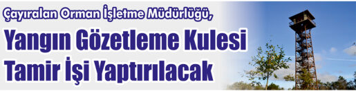 &nbsp;&nbsp;&nbsp;&nbsp;&nbsp; Çayıralan Orman İşletme Müdürlüğü, Yangın gözetleme kulesi tamir işi