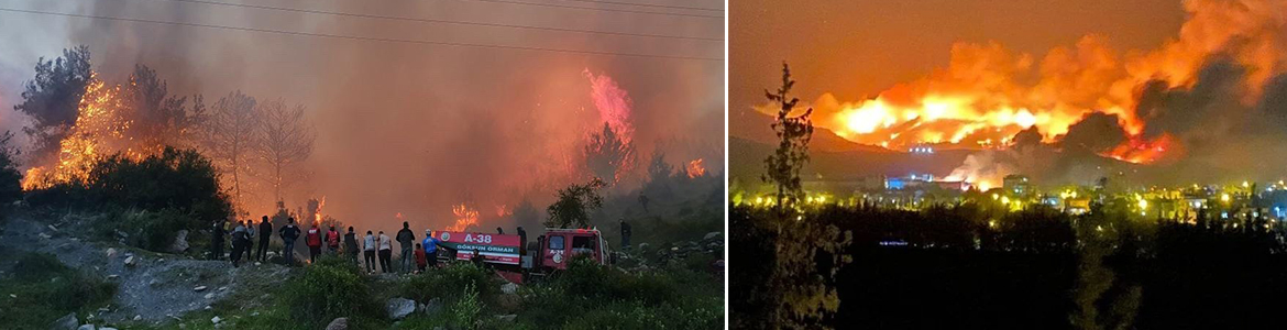 Orman yangınlarıyla ün salan