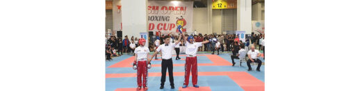 Hataylı Kübra, Kick Boks Dünya Şampiyonu