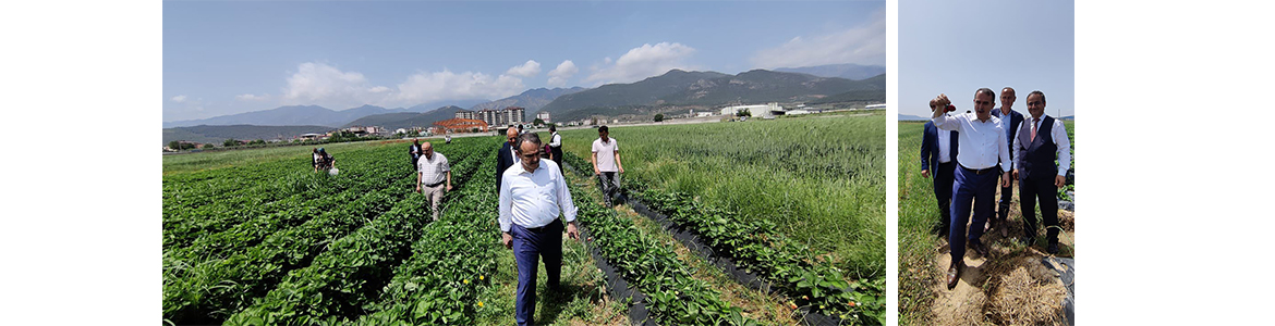 Hatay eski Milletvekili, eski